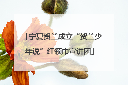 宁夏贺兰成立“贺兰少年说”红领巾宣讲团