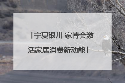 宁夏银川 家博会激活家居消费新动能