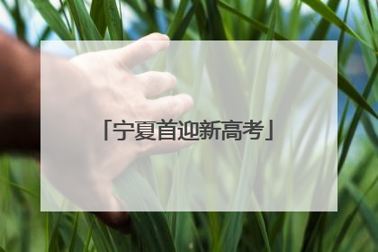 宁夏首迎新高考
