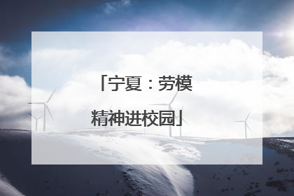 宁夏：劳模精神进校园