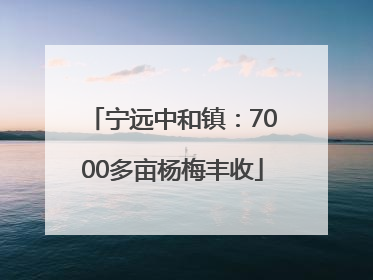 宁远中和镇：7000多亩杨梅丰收