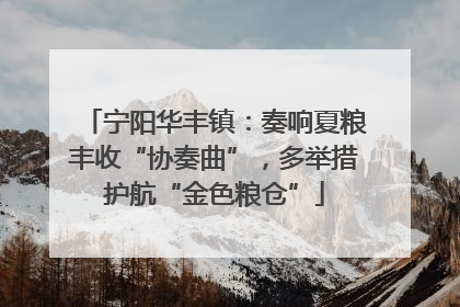 宁阳华丰镇：奏响夏粮丰收“协奏曲”，多举措护航“金色粮仓”