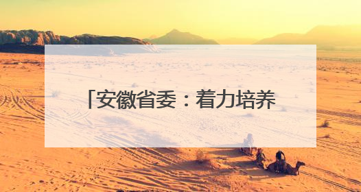 安徽省委：着力培养选拔优秀年轻干部