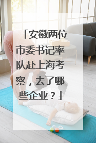 安徽两位市委书记率队赴上海考察，去了哪些企业？