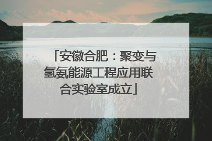安徽合肥：聚变与氢氨能源工程应用联合实验室成立