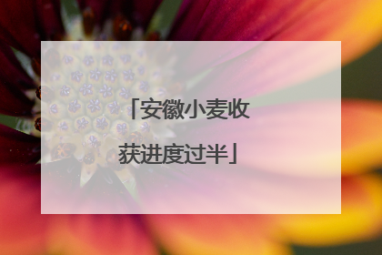 安徽小麦收获进度过半