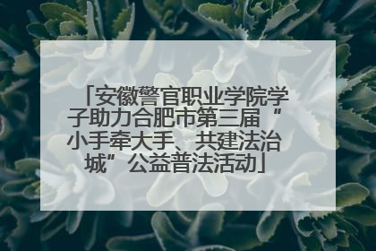安徽警官职业学院学子助力合肥市第三届“小手牵大手、共建法治城”公益普法活动