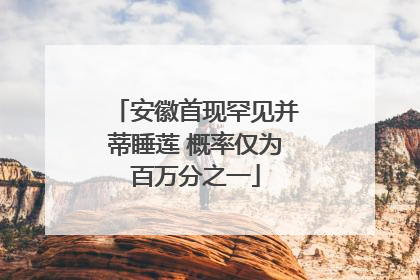 安徽首现罕见并蒂睡莲 概率仅为百万分之一