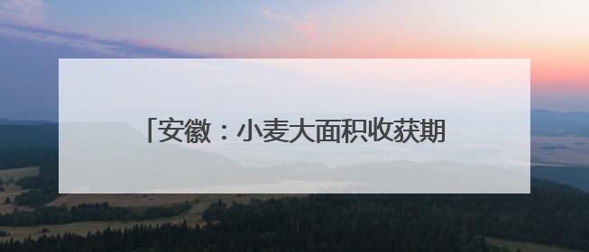 安徽：小麦大面积收获期在5月26日至6月上旬