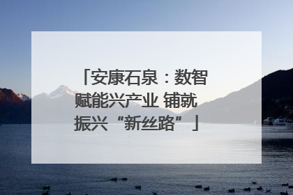 安康石泉：数智赋能兴产业 铺就振兴“新丝路”
