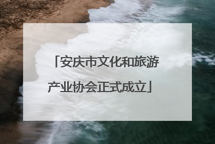 安庆市文化和旅游产业协会正式成立