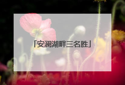 安澜湖畔三名胜