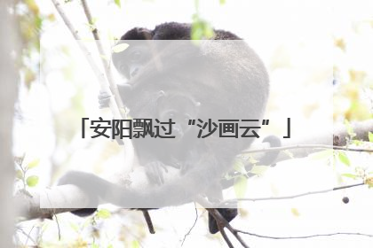 安阳飘过“沙画云”