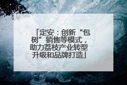 定安：创新“包树”销售等模式，助力荔枝产业转型升级和品牌打造