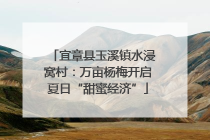 宜章县玉溪镇水浸窝村：万亩杨梅开启夏日“甜蜜经济”