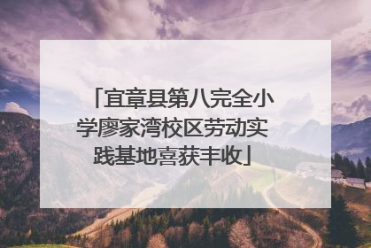 宜章县第八完全小学廖家湾校区劳动实践基地喜获丰收