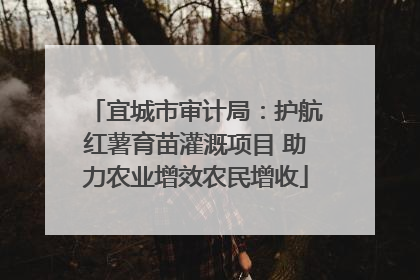 宜城市审计局：护航红薯育苗灌溉项目 助力农业增效农民增收