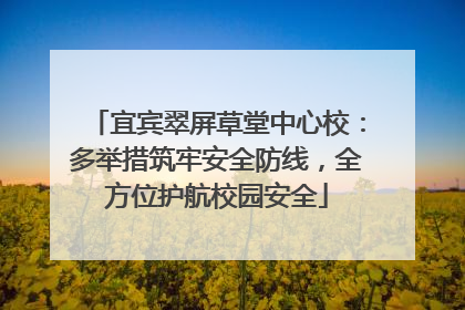 宜宾翠屏草堂中心校：多举措筑牢安全防线，全方位护航校园安全
