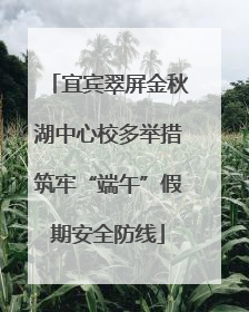 宜宾翠屏金秋湖中心校多举措筑牢“端午”假期安全防线
