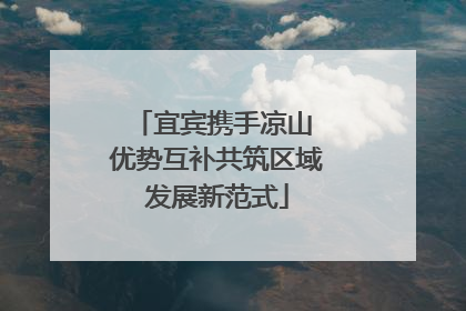 宜宾携手凉山 优势互补共筑区域发展新范式