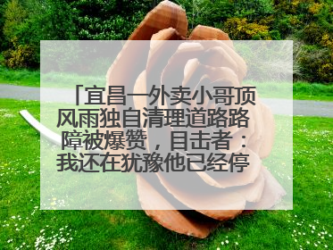 宜昌一外卖小哥顶风雨独自清理道路路障被爆赞，目击者：我还在犹豫他已经停车清障了