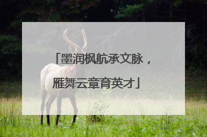 墨润枫航承文脉，雁舞云章育英才
