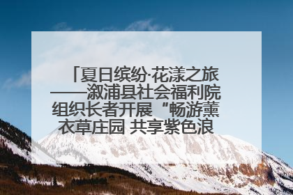 夏日缤纷·花漾之旅——溆浦县社会福利院组织长者开展“畅游薰衣草庄园 共享紫色浪漫”户外活动