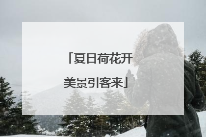 夏日荷花开 美景引客来