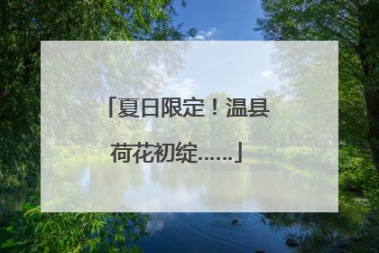 夏日限定！温县荷花初绽……