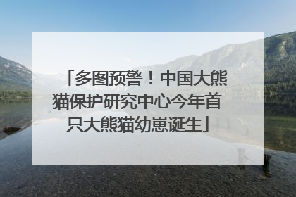 多图预警！中国大熊猫保护研究中心今年首只大熊猫幼崽诞生