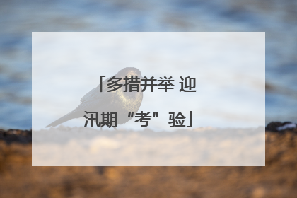 多措并举 迎汛期“考”验