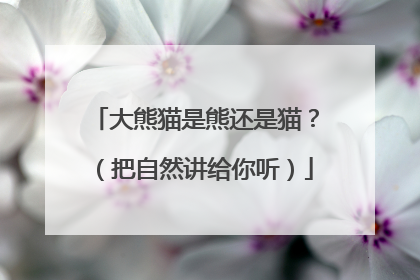 大熊猫是熊还是猫？（把自然讲给你听）
