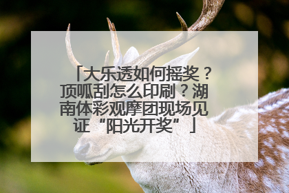 大乐透如何摇奖？顶呱刮怎么印刷？湖南体彩观摩团现场见证“阳光开奖”