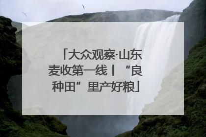 大众观察·山东麦收第一线丨“良种田”里产好粮