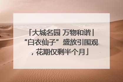 大城名园 万物和谐│“白衣仙子”盛放引围观，花期仅剩半个月