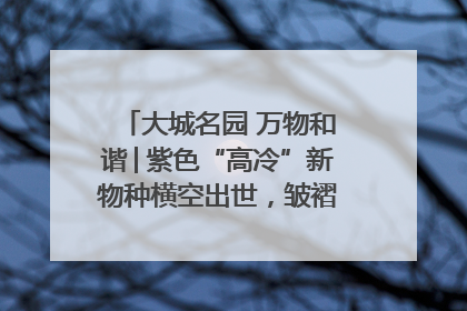大城名园 万物和谐│紫色“高冷”新物种横空出世，皱褶叶片暗藏进化密码