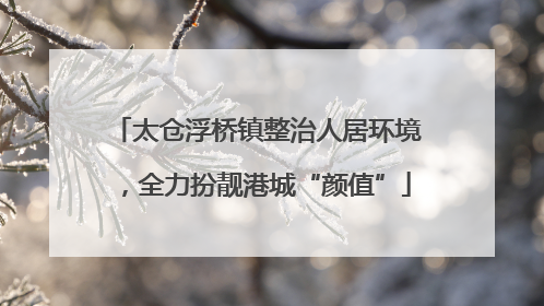 太仓浮桥镇整治人居环境，全力扮靓港城“颜值”