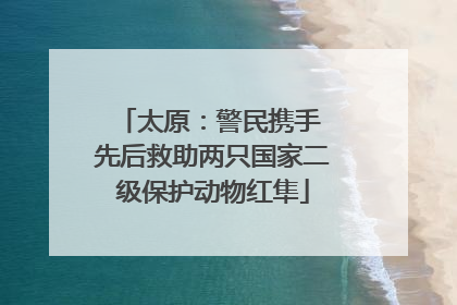 太原：警民携手 先后救助两只国家二级保护动物红隼
