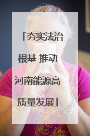 夯实法治根基 推动河南能源高质量发展