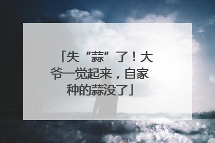 失“蒜”了！大爷一觉起来，自家种的蒜没了