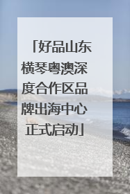 好品山东横琴粤澳深度合作区品牌出海中心正式启动