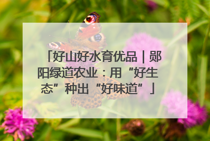 好山好水育优品｜郧阳绿道农业：用“好生态”种出“好味道”