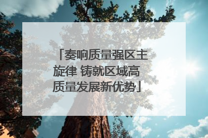 奏响质量强区主旋律 铸就区域高质量发展新优势