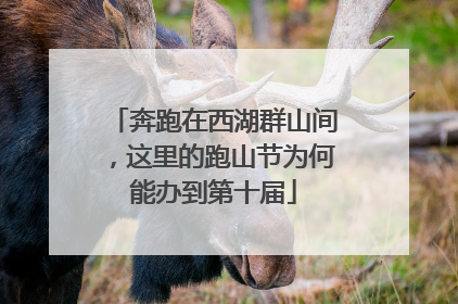 奔跑在西湖群山间，这里的跑山节为何能办到第十届