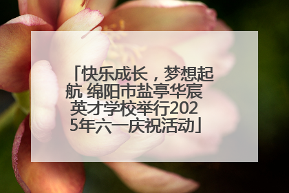快乐成长，梦想起航 绵阳市盐亭华宸英才学校举行2025年六一庆祝活动