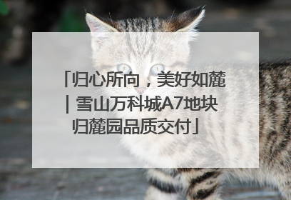 归心所向，美好如麓｜雪山万科城A7地块归麓园品质交付