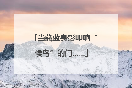 当藏蓝身影叩响“候鸟”的门……