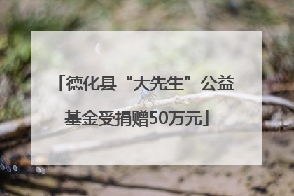 德化县“大先生”公益基金受捐赠50万元