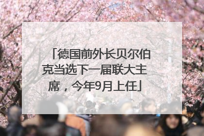 德国前外长贝尔伯克当选下一届联大主席，今年9月上任