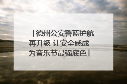德州公安警蓝护航再升级 让安全感成为音乐节最强底色